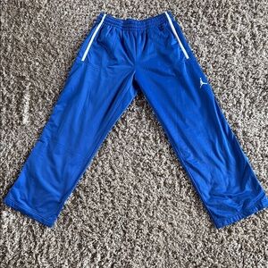 Nike Air Jordan workout sweatpants size Large